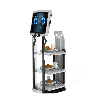 Technology and Automation